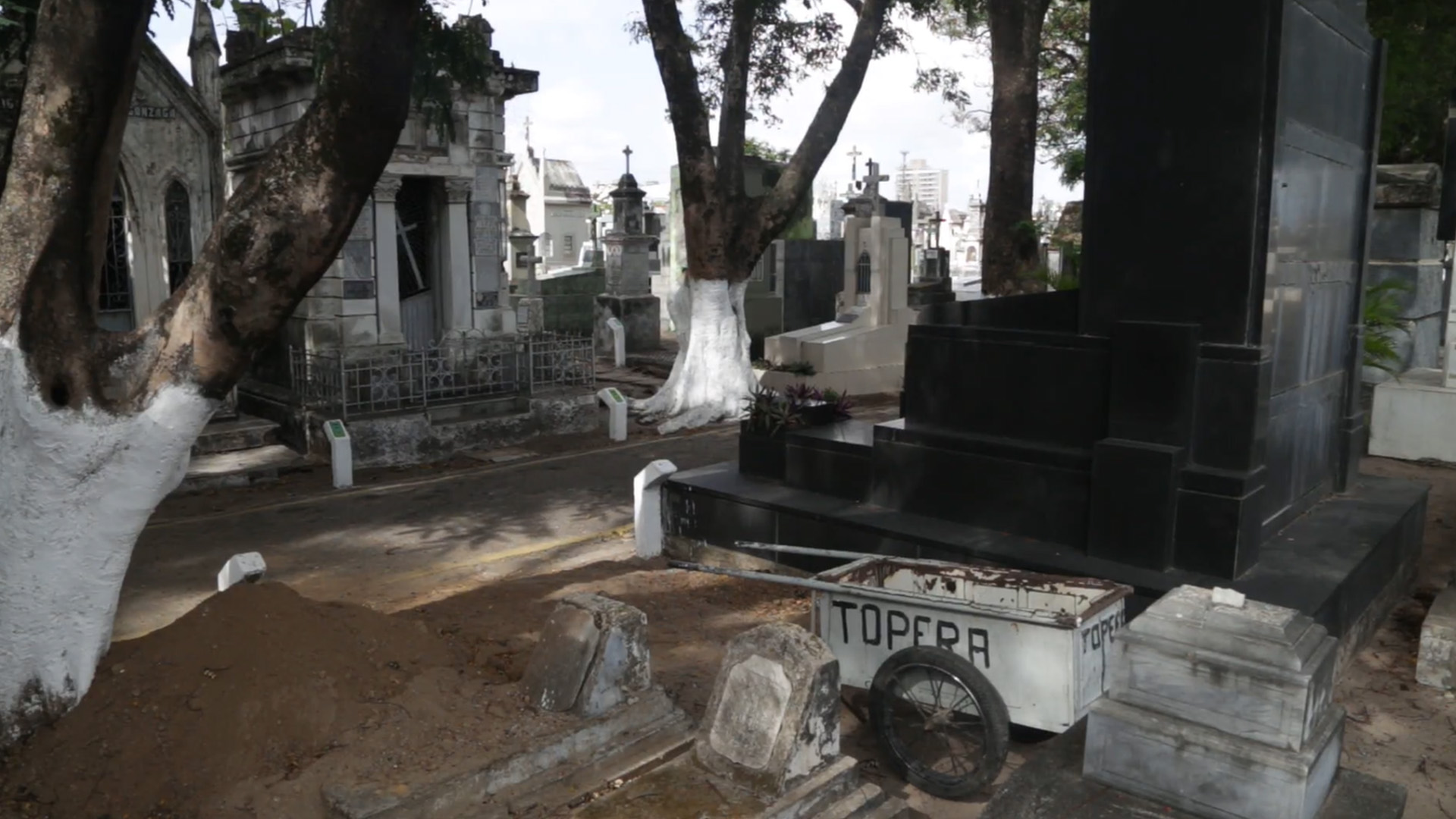 Topera